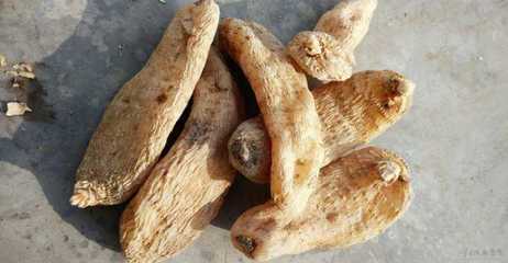 天麻的營(yíng)養(yǎng)價(jià)值