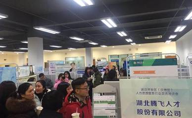武漢開發區(漢南區)人力資源服務行業交流洽談會成功舉辦 騰飛人才力爭成為開發區人力資源聯盟領跑者