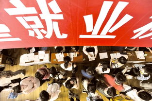大學生畢業后不找工作忙游學 慢就業你慢的起嗎