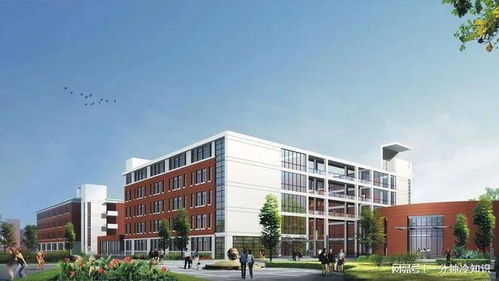 武漢建一 國際學校 ,投資超10億占地約170畝,力爭2022年招生