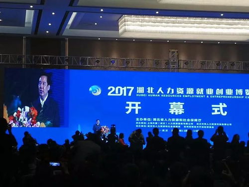 2017湖北人力資源就業創業博覽會在漢隆重舉行