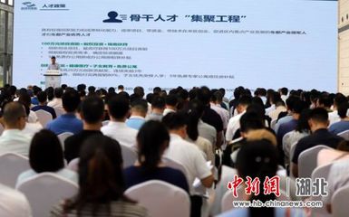 武漢開發區公布產業、人才、三創政策升級版