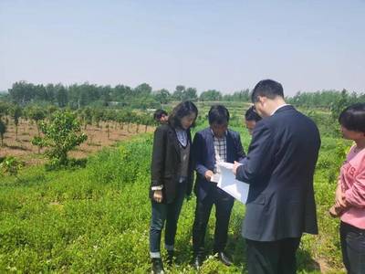 議事苑 |技術“翻譯官”變成項目“服務員”,儀征用足科技鎮長團資源