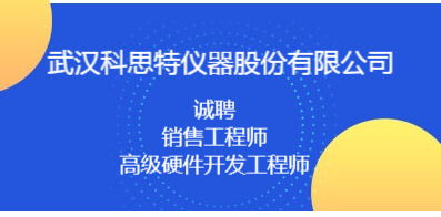 武漢招聘網 武漢人才網 武漢招聘信息 智聯招聘