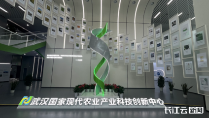 武漢國家農創中心綜合服務基地揭牌