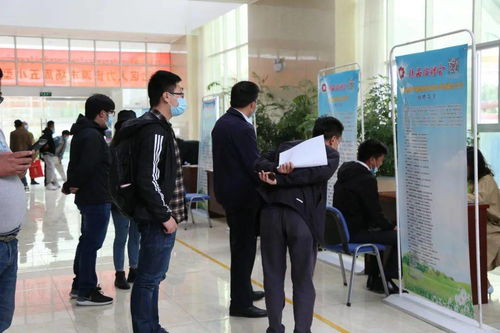 2020年區人力資源市場第二十一期精品人才現場招聘會舉辦 提供368個崗位