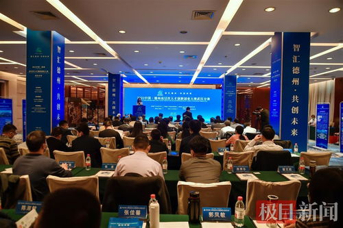 2021中國 德州高層次人才創新創業大賽 武漢分賽在漢成功舉辦