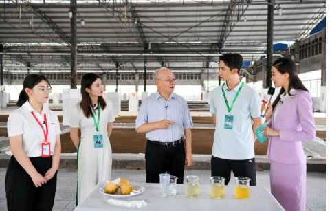 烏江輕鹽榨菜的領(lǐng)跑密碼 創(chuàng)新工藝 領(lǐng)先技術(shù) 健康理念 嚴(yán)苛標(biāo)準(zhǔn)