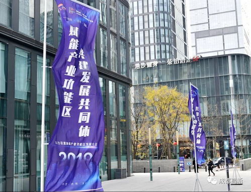 聚焦 成都人力資源協同產業功能區發展大會首次發布 兩大清單